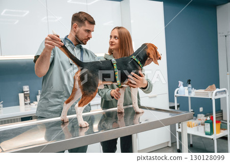 Dog in veterinary clinic with two doctors Dog in veterinary clinic with two doctors 130128099