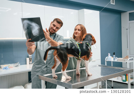 Looking at x-ray, analyzing. Dog in veterinary clinic with two doctors 130128101