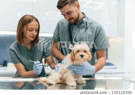 With syringe. Cute little dog in veterinary clinic with two doctors 130128106