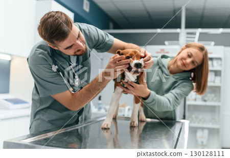 Front view, checking the teeth. Dog in veterinary clinic with two doctors Front view, checking the teeth. Dog in veterinary clinic with two doctors 130128111