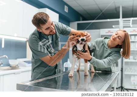 Front view, checking the teeth. Dog in veterinary clinic with two doctors Front view, checking the teeth. Dog in veterinary clinic with two doctors 130128112