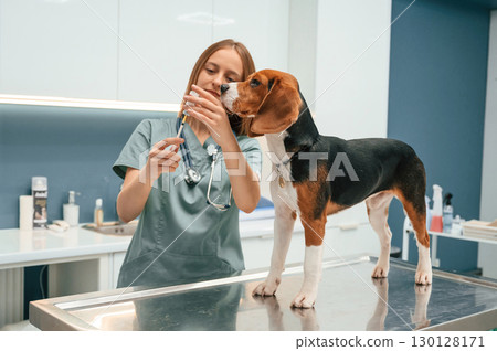 Fills the syringe with medicine. Woman veterinarian is with dog in the clinic 130128171