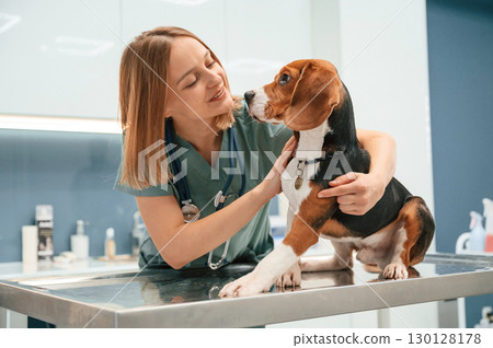 Woman veterinarian is with dog in the clinic 130128178