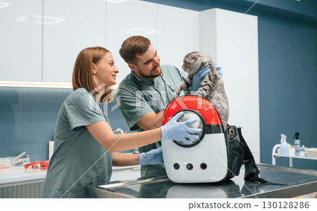 Taking out the animal from cute bag. Scottish fold cat in veterinary clinic with two doctors 130128286