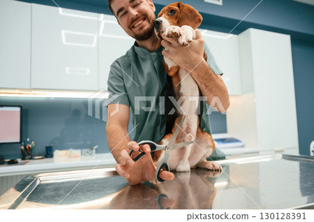 Holding scissors. Conception of castration. Dog in veterinarian clinic with male doctor Holding scissors. Conception of castration. Dog in veterinarian clinic with male doctor 130128391