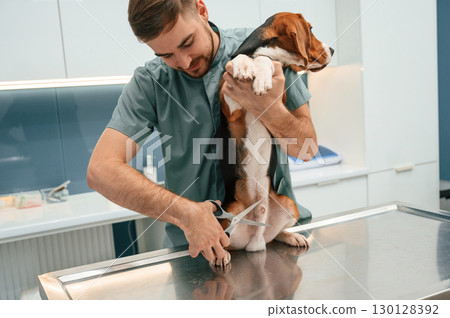 Dog in veterinarian clinic with male doctor 130128392