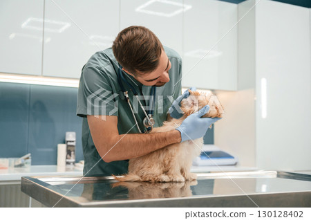 Cute little dog in veterinarian clinic with male doctor 130128402