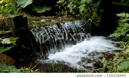 A fast mountain stream descends the mountain  130128445