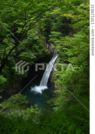 大釜瀑布2(垂直)(德島縣那嘉郡那嘉町澤谷) 大釜瀑布2(垂直)(德島縣那嘉郡那嘉町澤谷) 130129832