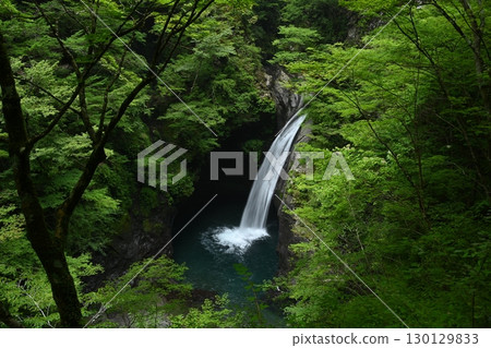 大釜瀑布1(德島縣那嘉郡那嘉町澤谷) 大釜瀑布1(德島縣那嘉郡那嘉町澤谷) 130129833