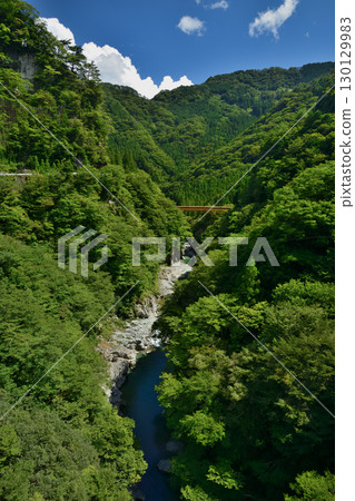 Ryugu Cliff 2 (east of the suspension bridge) (Higashi-Iya Tsurui, Miyoshi City, Tokushima Prefecture) Ryugu Cliff 2 (east of the suspension bridge) (Higashi-Iya Tsurui, Miyoshi City, Tokushima Prefecture) 130129983