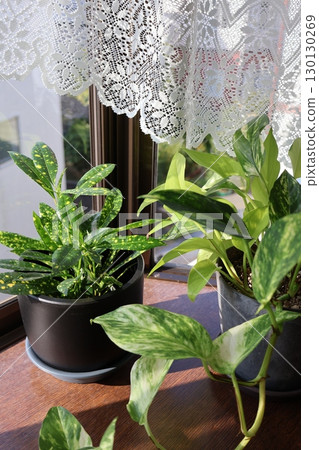 內政部與綠色 內政部與綠色 130130269