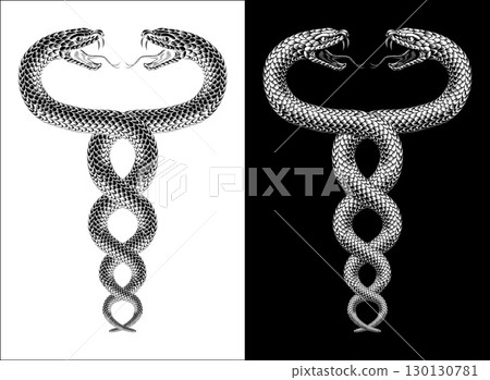 Snakes Coiled Twin Serpents Vintage Illustration 130130781
