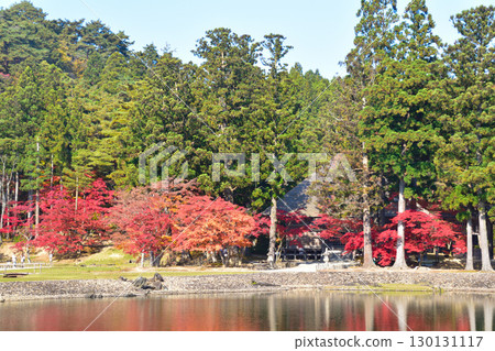 Autumn Motsuji Temple Oizumigaike Pond Autumn Motsuji Temple Oizumigaike Pond 130131117