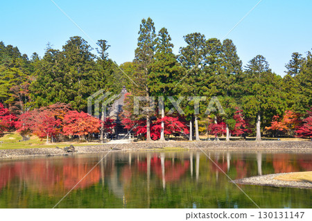 秋天的毛越寺大泉池 130131147