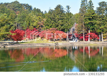 Autumn Motsuji Temple Oizumigaike Pond Autumn Motsuji Temple Oizumigaike Pond 130131293