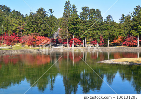 Autumn Motsuji Temple Oizumigaike Pond Autumn Motsuji Temple Oizumigaike Pond 130131295