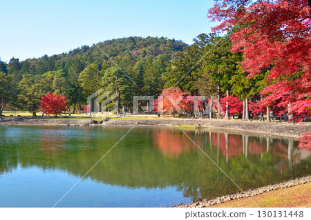Autumn Motsuji Temple Oizumigaike Pond Autumn Motsuji Temple Oizumigaike Pond 130131448