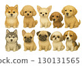 Illustrations of various dog breeds 130131565