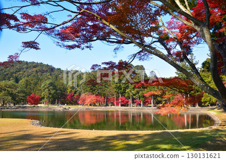 Autumn Motsuji Temple Oizumigaike Pond Autumn Motsuji Temple Oizumigaike Pond 130131621