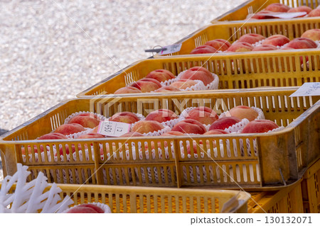 250824 宮川早市 G169 130132071