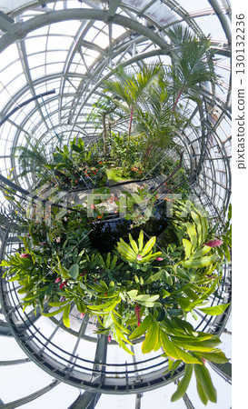 透過魚眼鏡頭看到的熱帶溫室 130132236