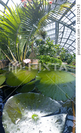 透過魚眼鏡頭看到的熱帶溫室 130132243