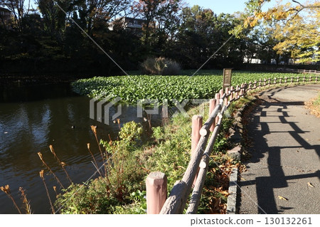 Kikunaike公園 Kikunaike公園 130132261