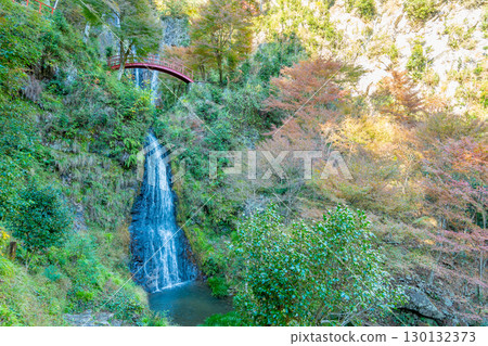 Goho Falls in autumn, where legendary swordsman Miyamoto Musashi is said to have trained in Yaotsu Town, Gifu Prefecture Goho Falls in autumn, where legendary swordsman Miyamoto Musashi is said to have trained in Yaotsu Town, Gifu Prefecture 130132373