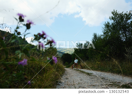 Man walking two dogs on a mountain trail with wildflowers in the foreground, beautiful summer landscape in Serbia 130132543