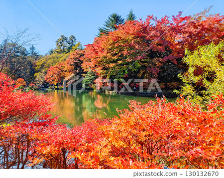 Karuizawa, Kumoba Pond (Autumn) Karuizawa, Kumoba Pond (Autumn) 130132670