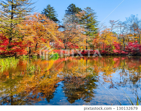 輕井澤、雲場池(秋季) 輕井澤、雲場池(秋季) 130132679