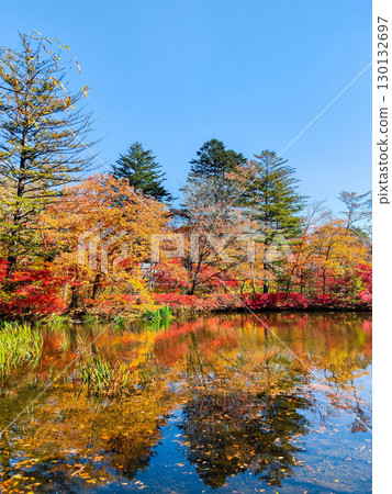 Karuizawa, Kumoba Pond (Autumn) 130132697