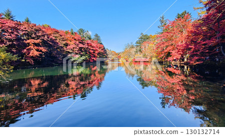 Karuizawa, Kumoba Pond (Autumn) 130132714