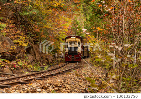赤澤森林鐵路染上秋葉 赤澤森林鐵路染上秋葉 130132750