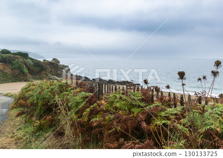 Seaside landscape in Armor Coast, Brittany in France 130133725