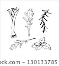 Herbs and Greens Hand Drawn Sketch Set 130133785
