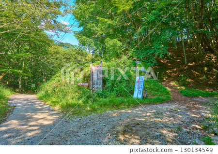 山梨縣山梨市西澤溪入口林道上的甲武志岳（藤堂山脊路線）登山口與西澤溪交叉口 130134549