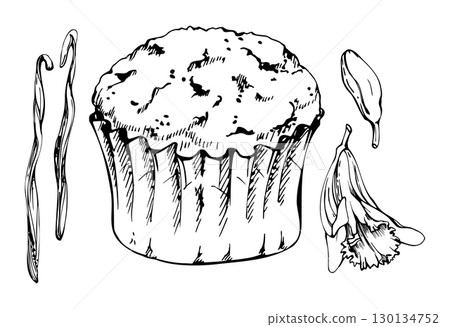 Home-baked cupcake muffin in parchment paper liner with vanilla orchid blossom and spice seed pods. Vector ink hand drawn isolated clipart. Cafe templates, food labels, recipe card illustrations. Home-baked cupcake muffin in parchment paper liner with vanilla orchid blossom and spice seed pods. Vector ink hand drawn isolated clipart. Cafe templates, food labels, recipe card illustrations. 130134752
