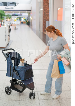 Caucasian woman walks through a shopping center with her Jack Russell Terrier dog in a stroller. Caucasian woman walks through a shopping center with her Jack Russell Terrier dog in a stroller. 130135164