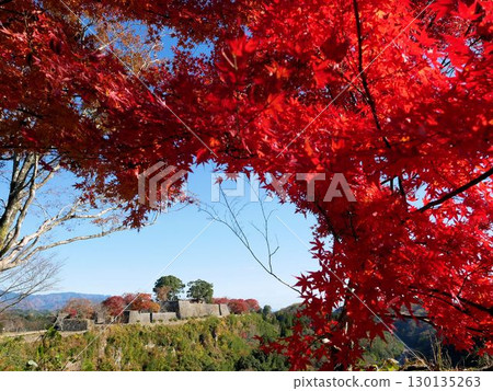 Taketa City, Oita Prefecture: Autumn Oka Castle ruins and red autumn leaves Taketa City, Oita Prefecture: Autumn Oka Castle ruins and red autumn leaves 130135263