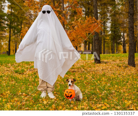 Woman in white sheet and jack russell terrier dog holding jack o latrine in autumn forest. Halloween costume. Woman in white sheet and jack russell terrier dog holding jack o latrine in autumn forest. Halloween costume. 130135337