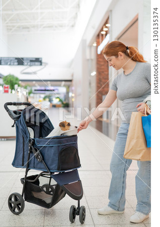 Caucasian woman walks through a shopping center with her Jack Russell Terrier dog in a stroller. Caucasian woman walks through a shopping center with her Jack Russell Terrier dog in a stroller. 130135374