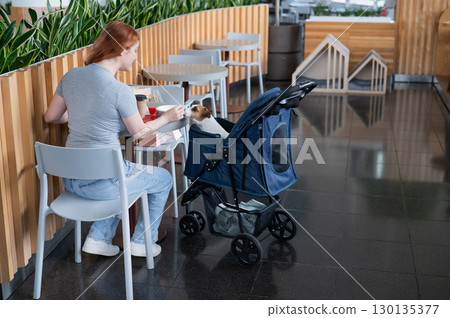 Caucasian woman having lunch in a cafe with her Jack Russell terrier dog in a stroller.  130135377