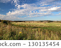 View Over Scrubland to Farmland in the Distance on a Summer Evening 130135454