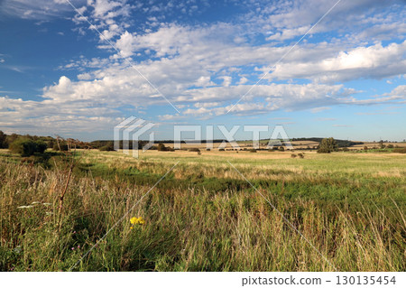 View Over Scrubland to Farmland in the Distance on a Summer Evening 130135454