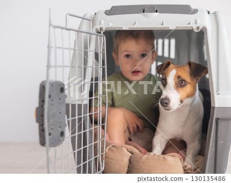 Little child in a cage with a Jack Russell Terrier dog. Little child in a cage with a Jack Russell Terrier dog. 130135486
