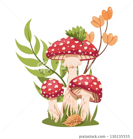 Amanita Mushrooms Forest Composition Flat Vector Illustration Isolated on White. Poisonous Fungi Design for Fairy Tale Books, Autumn Stickers, Seasonal Decor, and Education. Ideal for Nature Theme Amanita Mushrooms Forest Composition Flat Vector Illustration Isolated on White. Poisonous Fungi Design for Fairy Tale Books, Autumn Stickers, Seasonal Decor, and Education. Ideal for Nature Theme 130135555
