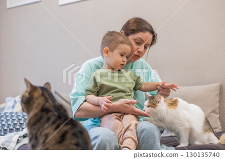 Caucasian woman with her son in a cat cafe. Caucasian woman with her son in a cat cafe. 130135740