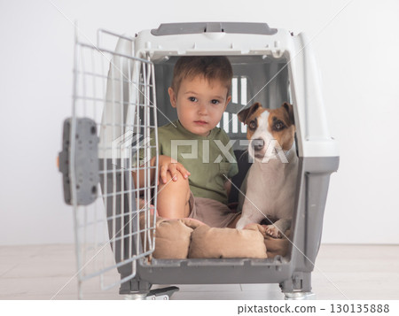 Little child in a cage with a Jack Russell Terrier dog. Little child in a cage with a Jack Russell Terrier dog. 130135888